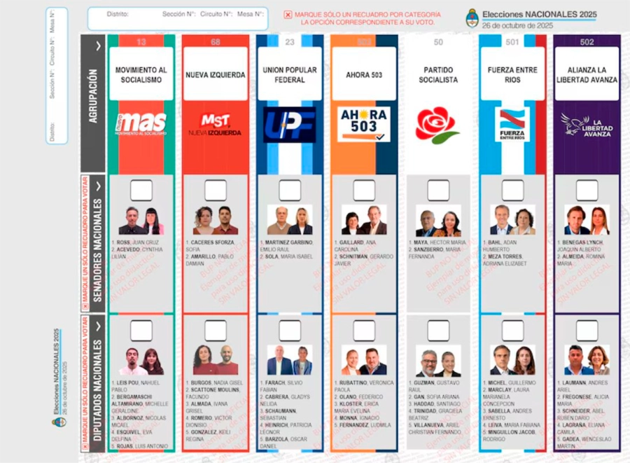 BUP de las elecciones para legisaldores nacionales. Octubre de 2025.