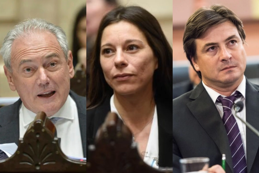 Desde el Garrahan pidieron a Frigerio que sus legisladores voten a favor la emergencia pediátrica