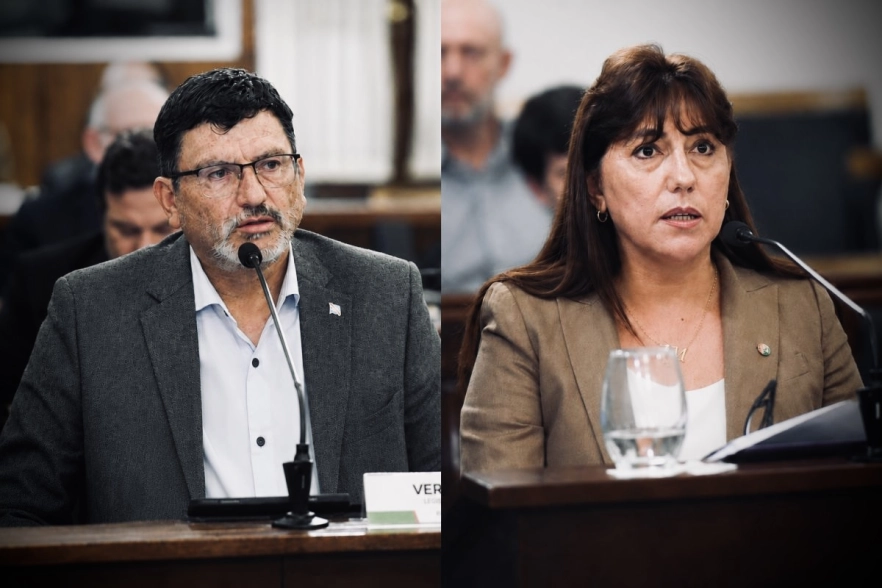Vergara: "Con el voto de Dom&iacute;nguez, estamos en condiciones de aprobar el proyecto"